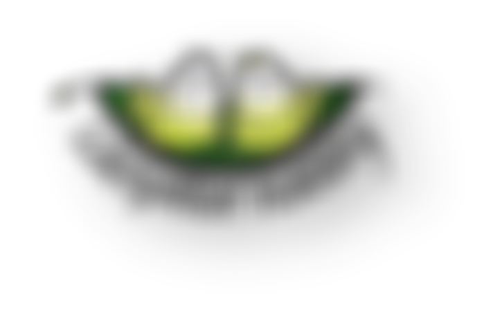 Caterpillar Nursery (Leamington Spa) Limited | Charici