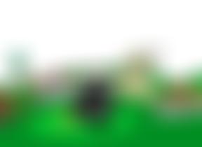 Egerton Music Festival | Charici