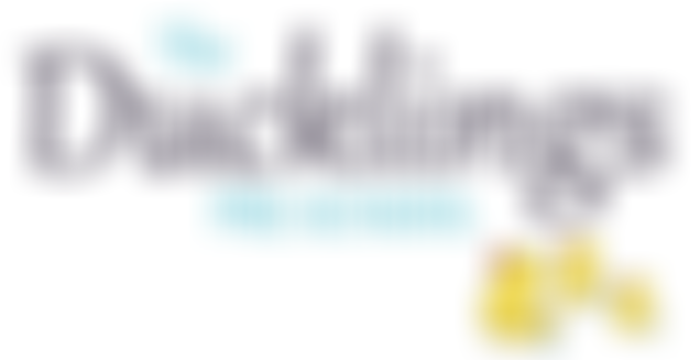 Ducklings Pre-School Chickerell | Charici
