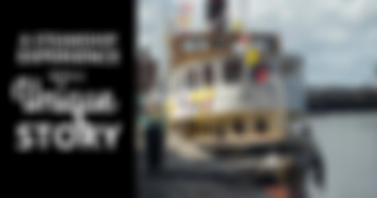 The Daniel Adamson Preservation Society | Charici