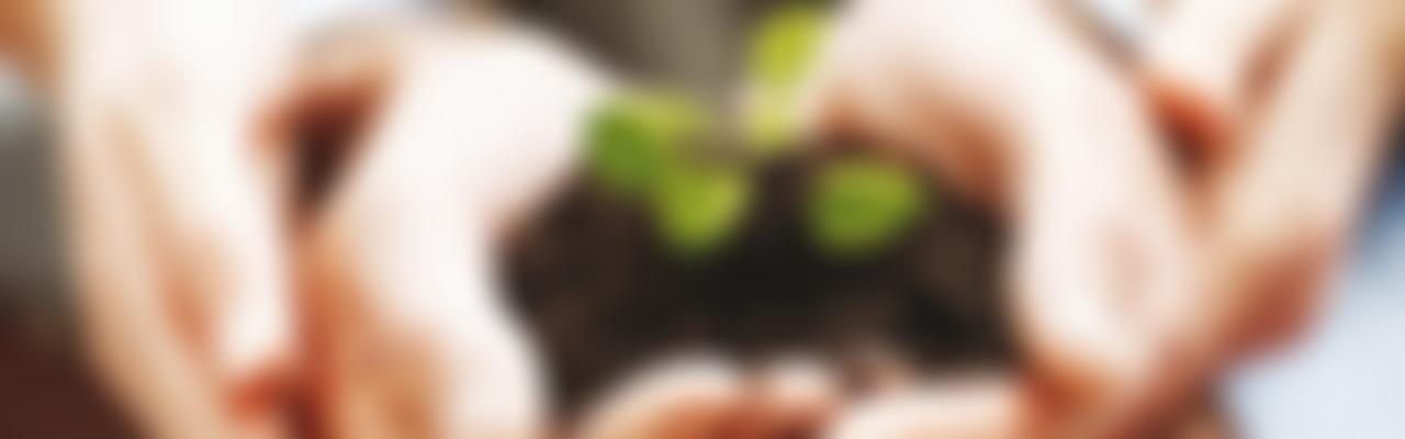 Westhill Endowment | Charici