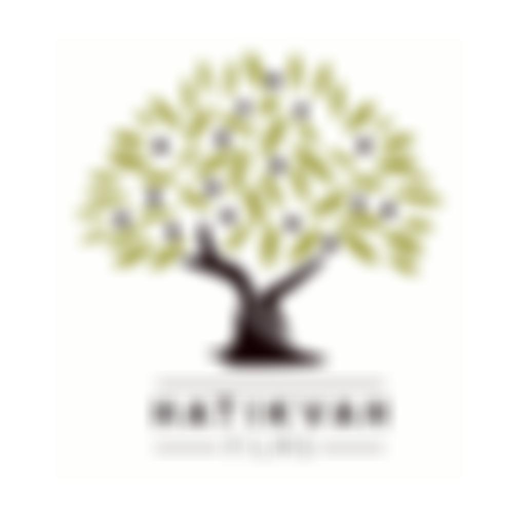 Hatikvah Film Trust | Charici
