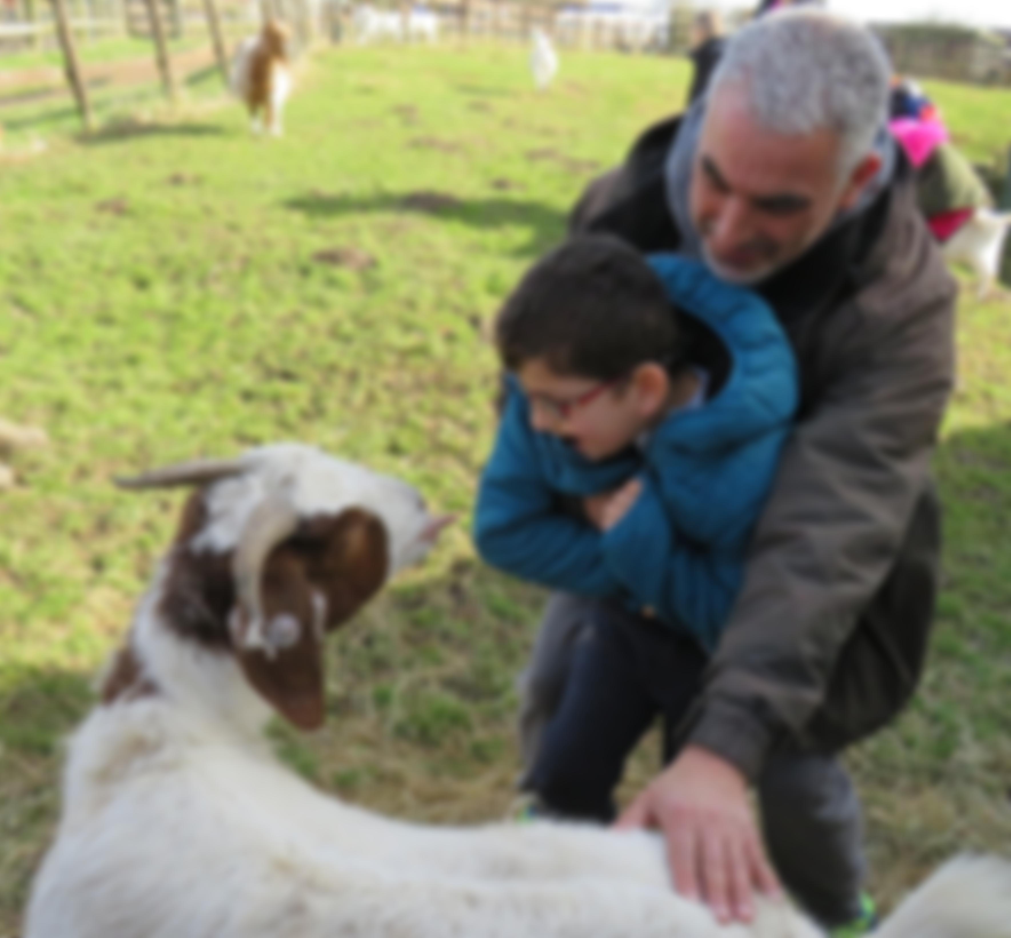 Lambourne End Ltd | Charici