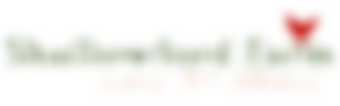 The Shallowford Trust | Charici