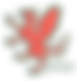 Somerset Prostate Support Association | Charici