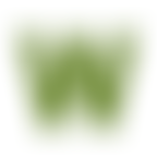 Winthorpe Village Hall | Charici