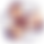 Home Furniture Services Trust | Charici