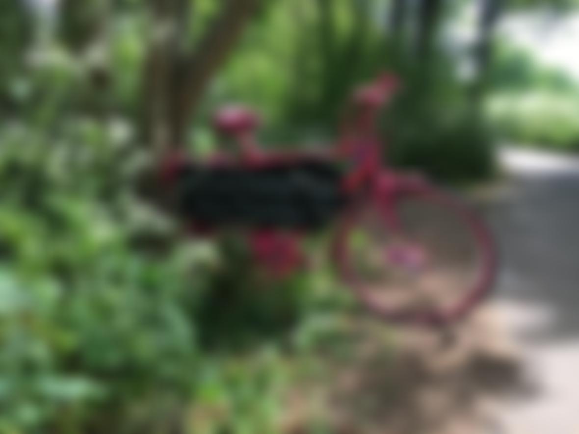 Dukes Meadows Trust | Charici