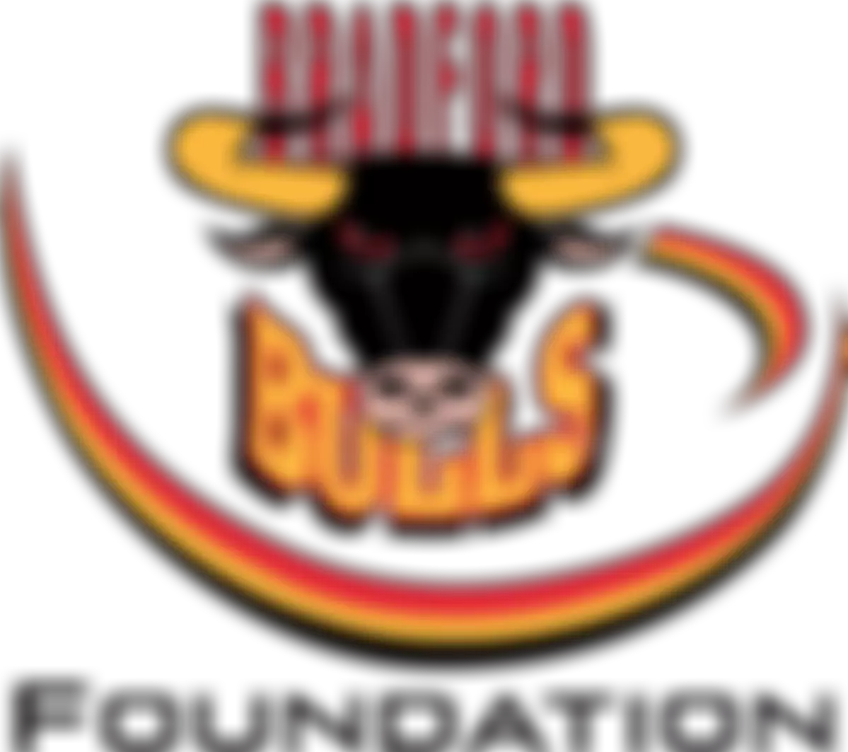 The Bradford Bulls Foundation | Charici