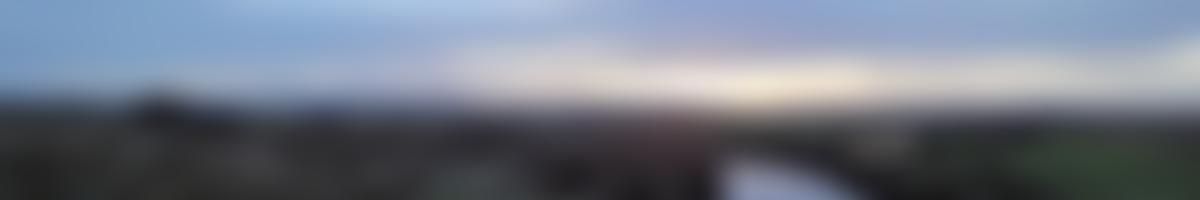 Sussex Ornithological Society | Charici