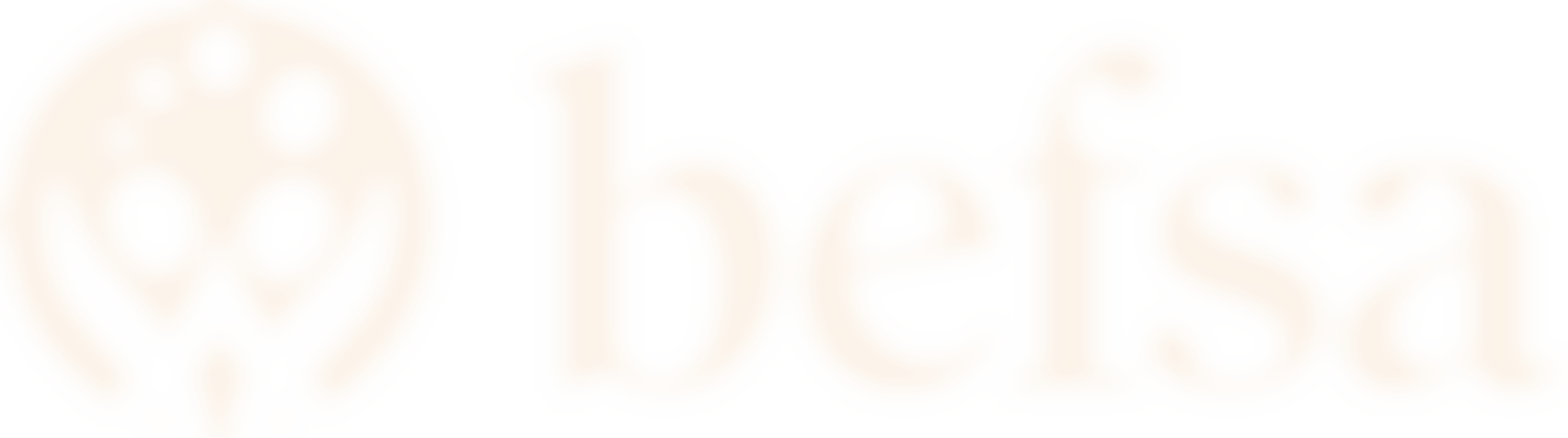 Borien Educational Foundation For Southern Africa (Befsa) | Charici