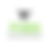 Friends Of Diptford School | Charici