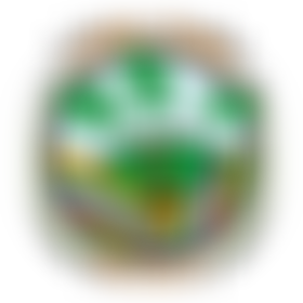 Little Oaks Nursery Leeds Ltd | Charici