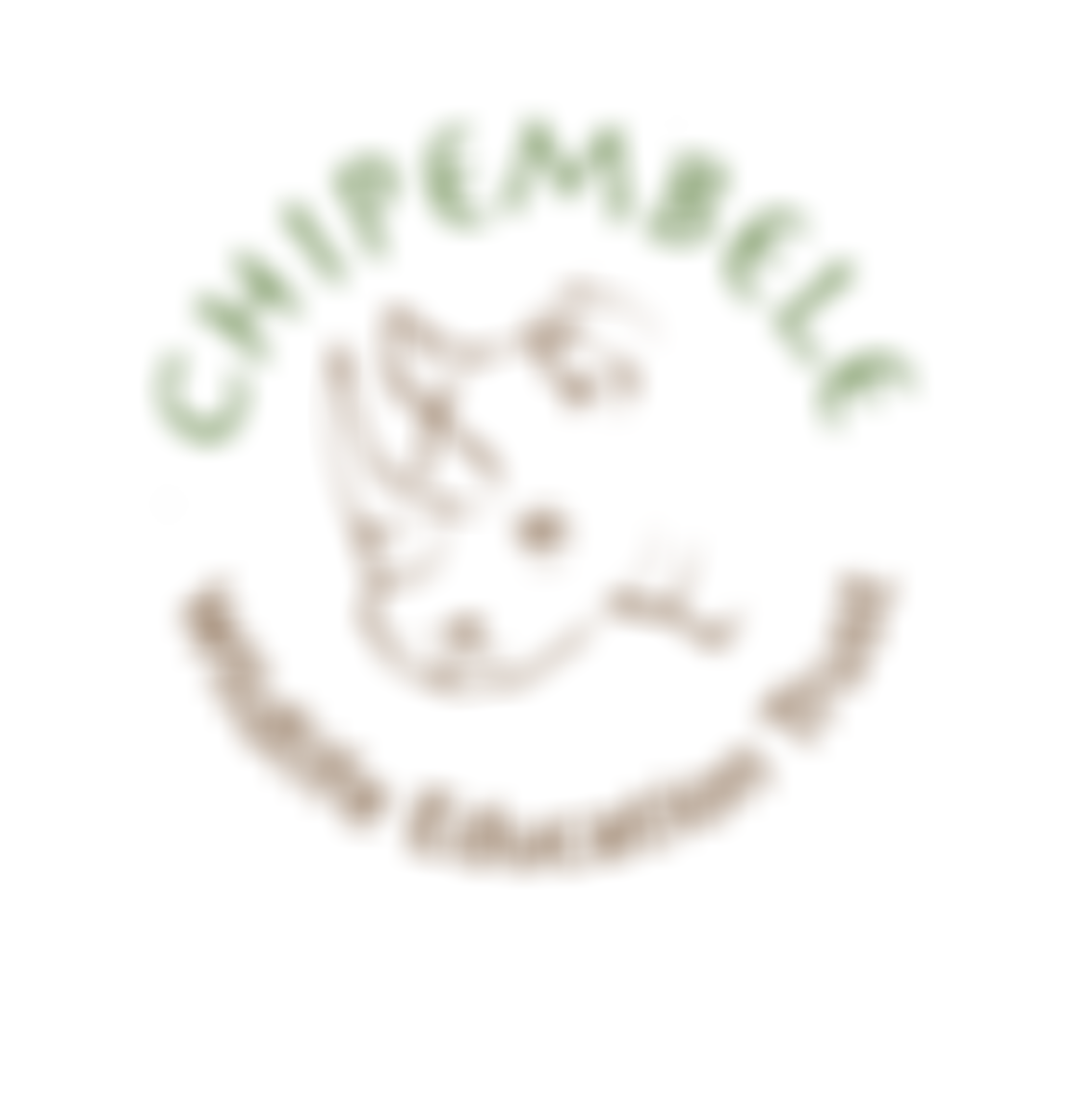 Chipembele Trust | Charici