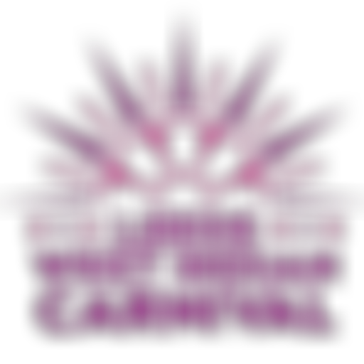 Leeds West Indian Carnival | Charici