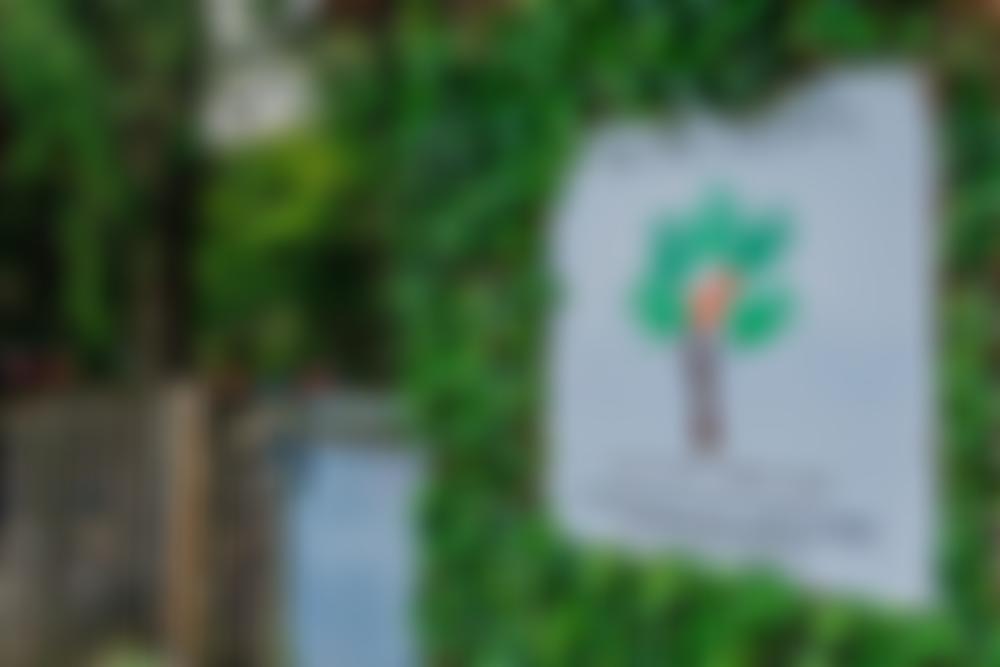 The Firs Nursery | Charici