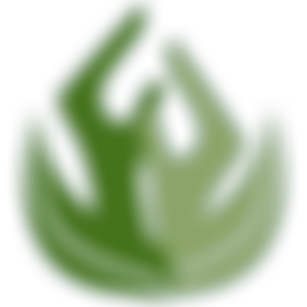 Sydenham Garden | Charici