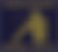 Shropshire Mines Trust Ltd | Charici