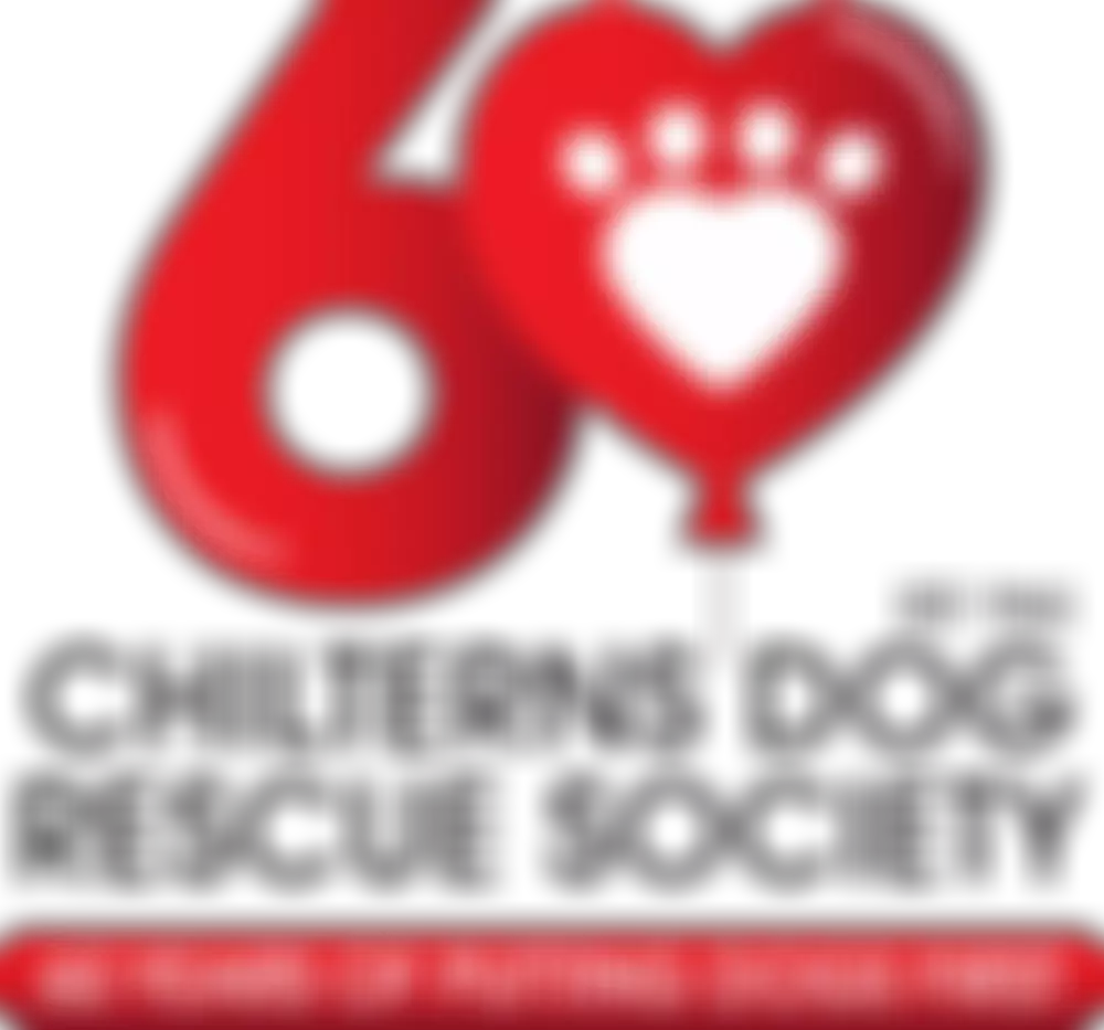 Chilterns Dog Rescue Society | Charici