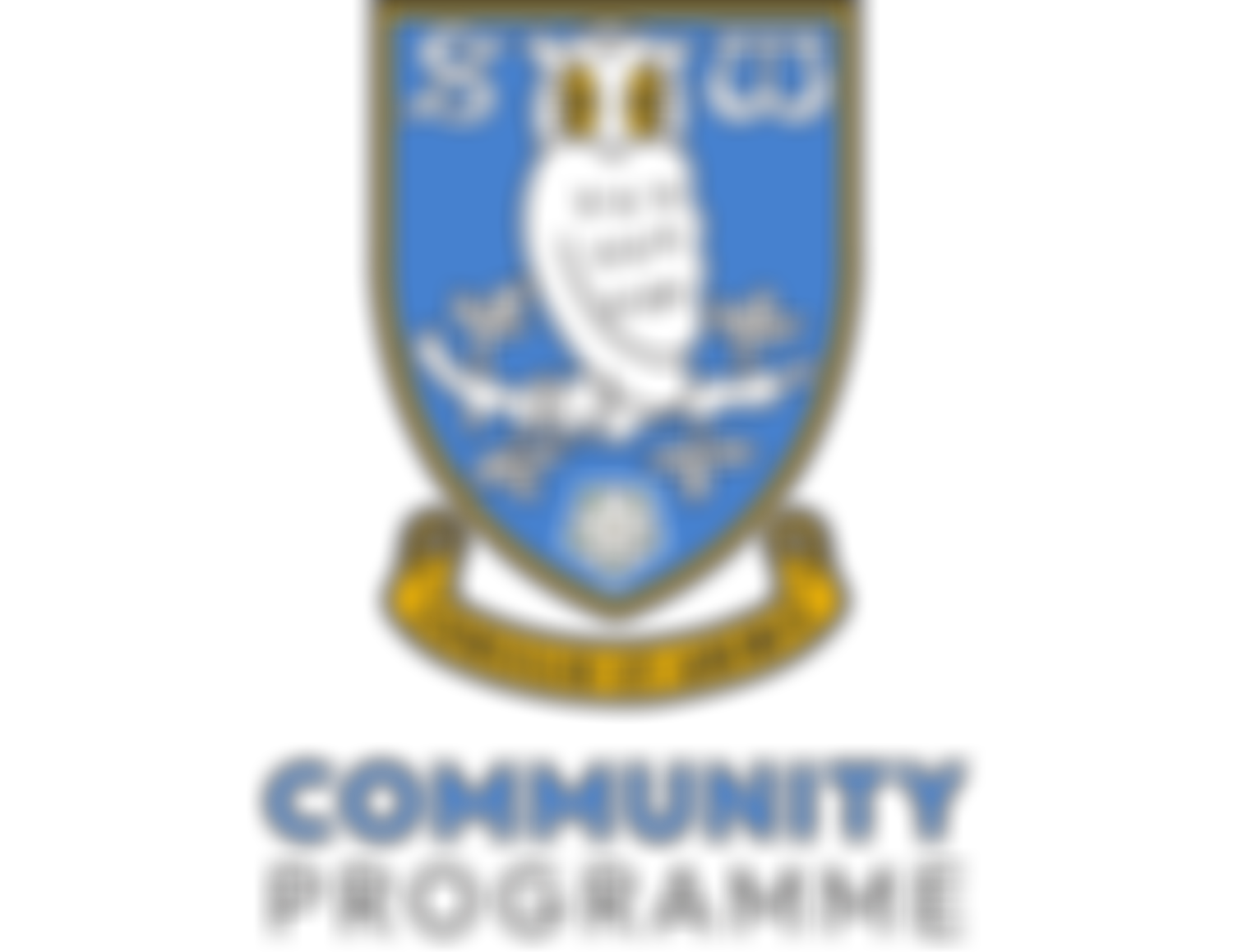 Sheffield Wednesday Football Club Community Programme | Charici
