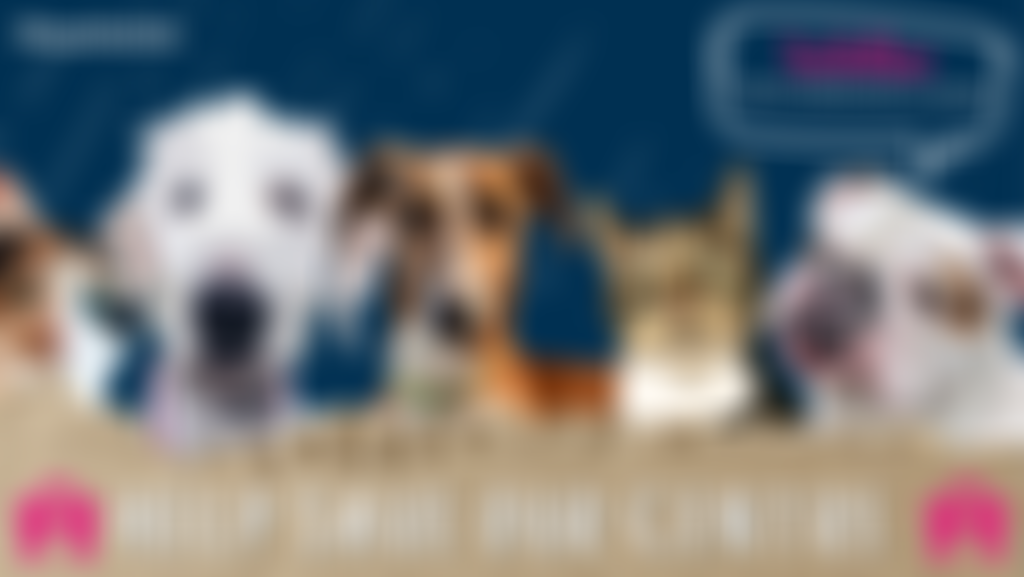 Teckels Animal Sanctuaries | Charici