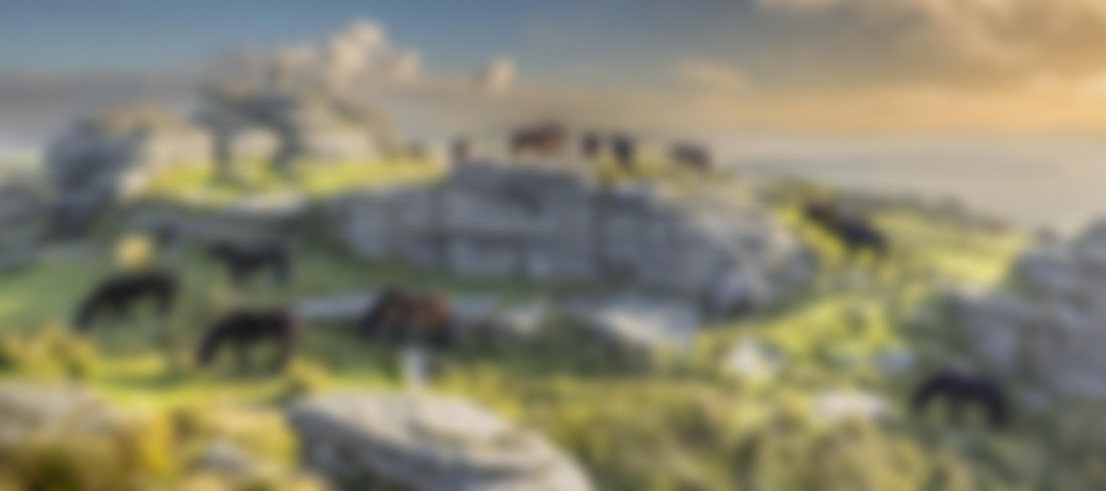 Dartmoor Pony Heritage Trust | Charici