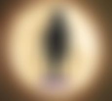 Rammanantha Trust (UK) | Charici