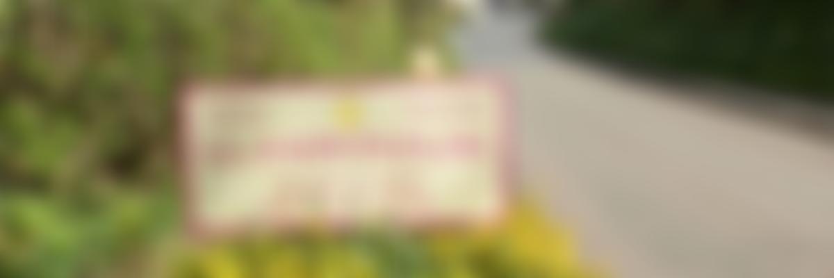 Eisteddfod Gadeiriol Llandyfaelog | Charici