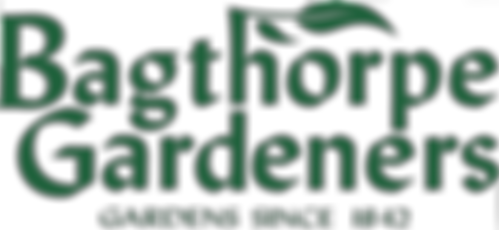 Bagthorpe Gardeners | Charici