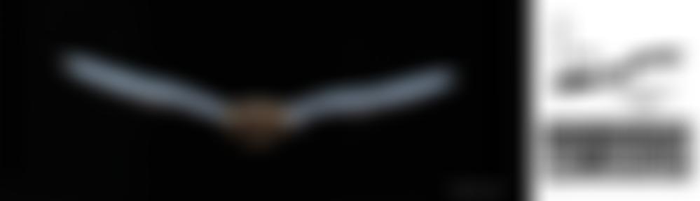 South Lancashire Bat Group | Charici