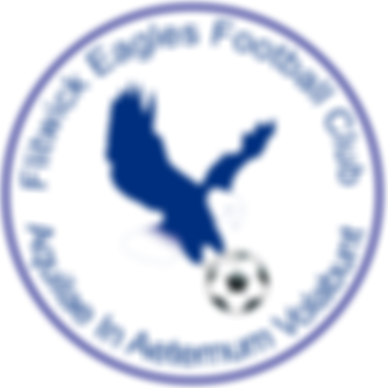 Flitwick Eagles Football Club | Charici