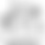 Quaggy Development Trust | Charici