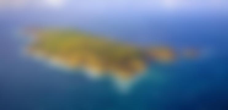 Lundy Field Society | Charici