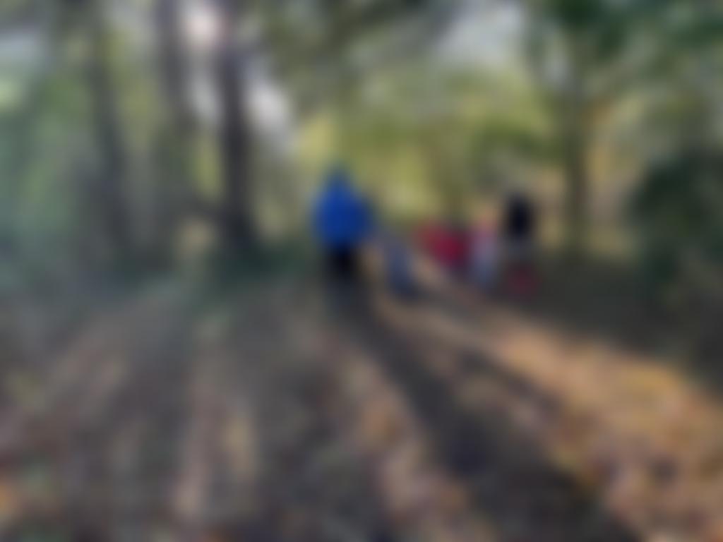 Bramfield Stepping Stones Pre-School | Charici