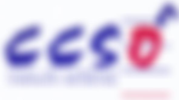 City Of Cardiff Symphony Orchestra | Charici