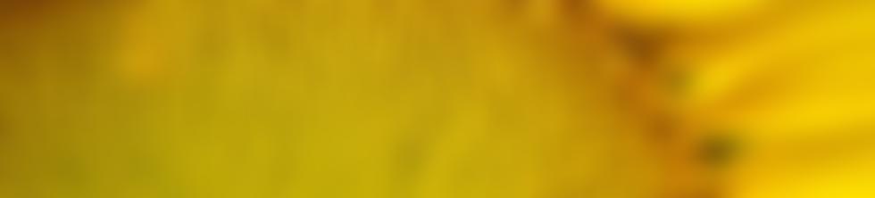 Seaford Independent Spiritualist Church | Charici