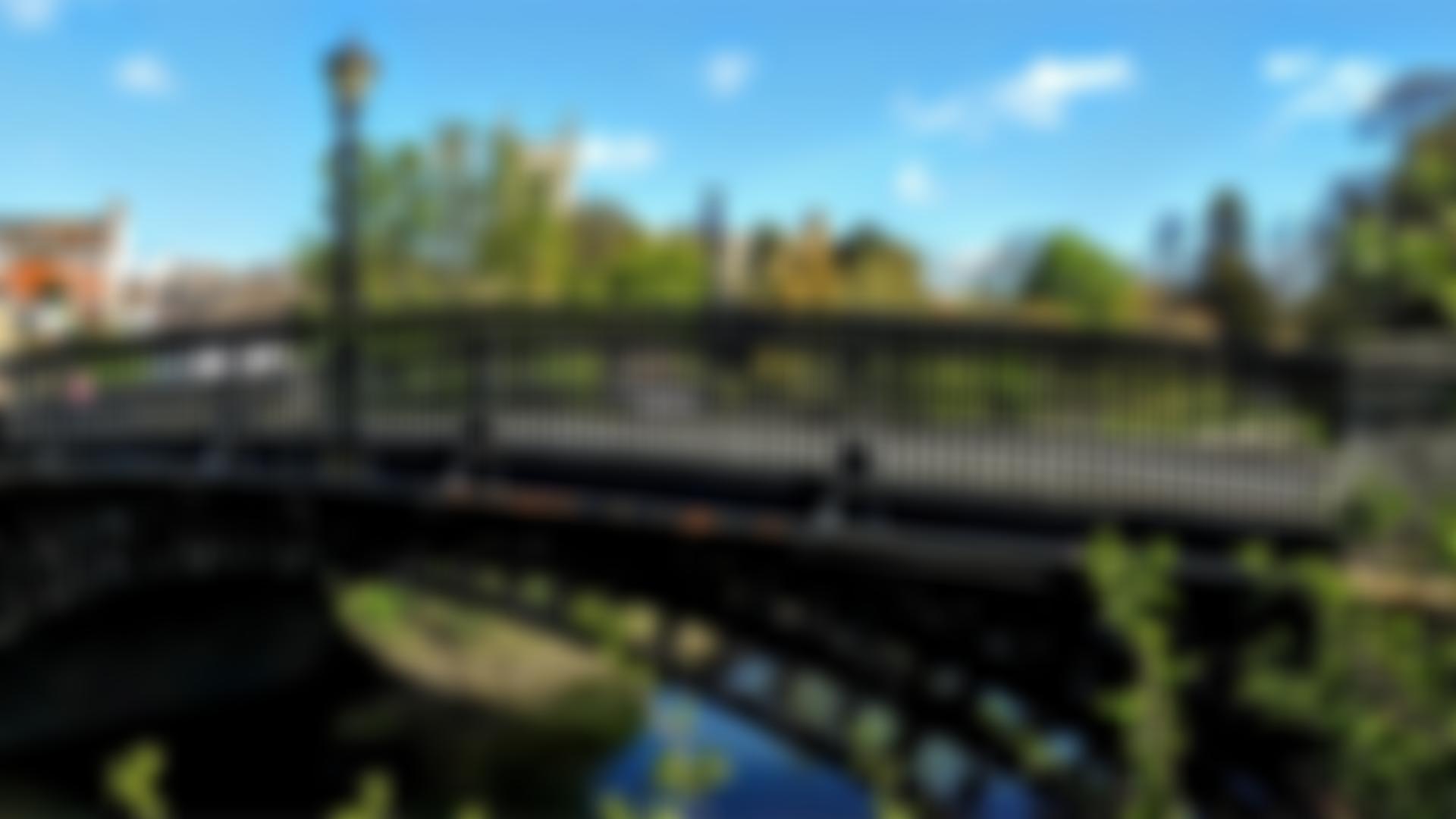 The Harry Middleton Gift | Charici