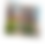 The Junction Project (Bristol) Charitable Trust | Charici