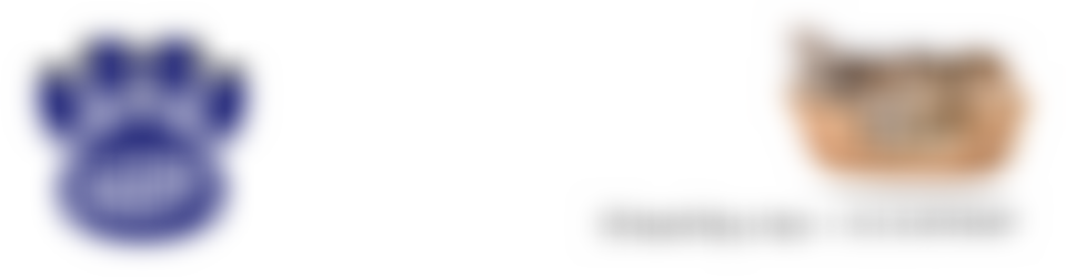 Lonely Pawz | Charici