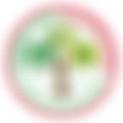 Marble Hill Playcentres | Charici