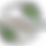 Bideford Sustainability | Charici