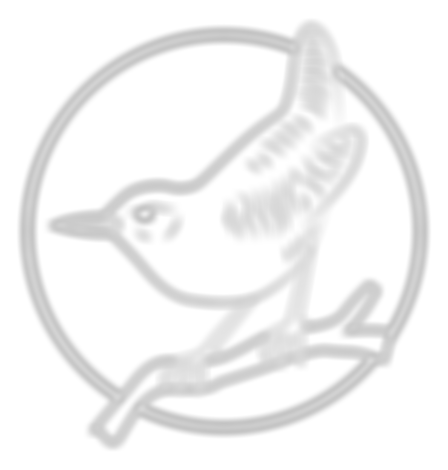 The New Friends Of Ferncumbe School 1997 | Charici