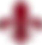 Anson Charitable Trust | Charici