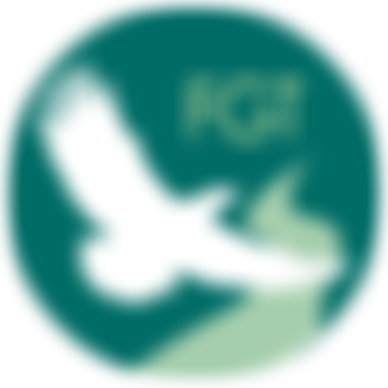 Full Gospel Tabernacle Trust | Charici