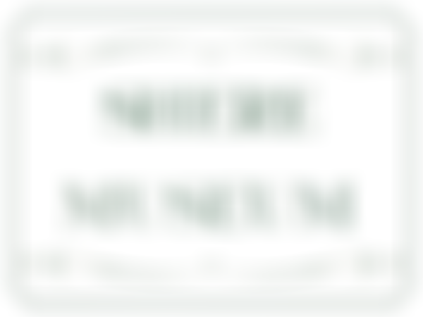 Shere Museum | Charici