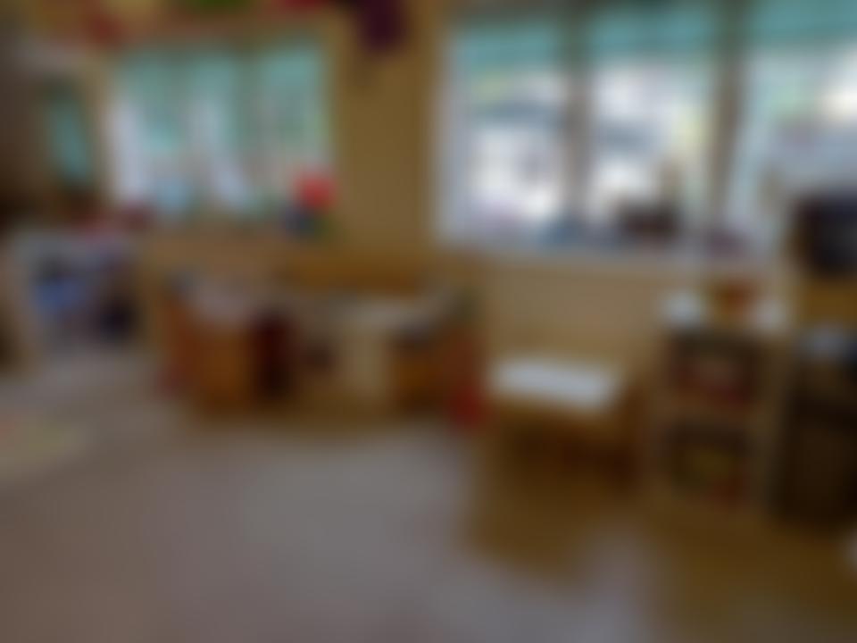 Lydlynch Pre-School Limited | Charici