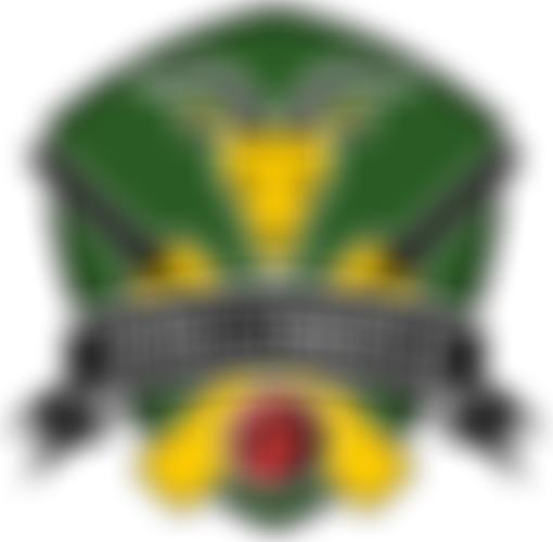 The Lynton And Lynmouth Cricket Club | Charici