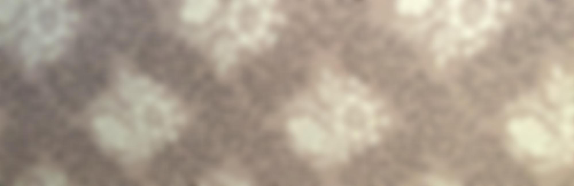 Turner's House Trust | Charici