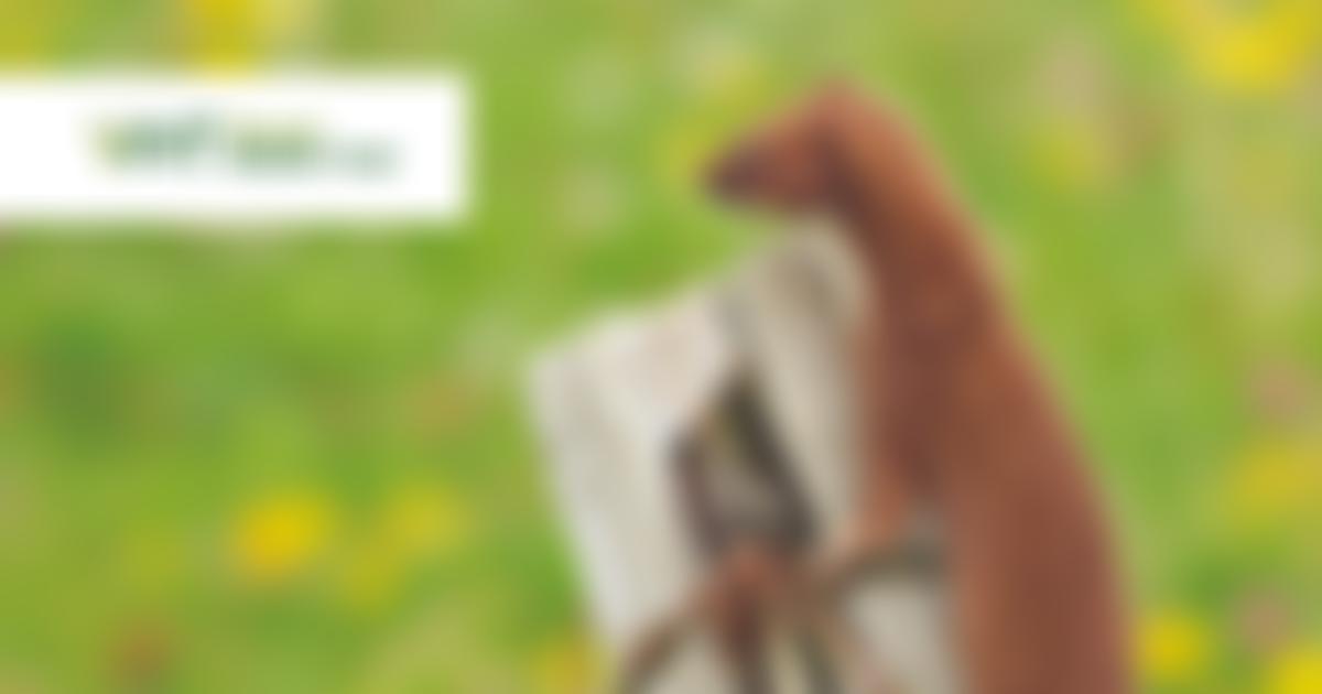 The Vincent Wildlife Trust | Charici