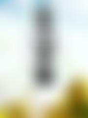 The Shropshire Islamic Foundation | Charici